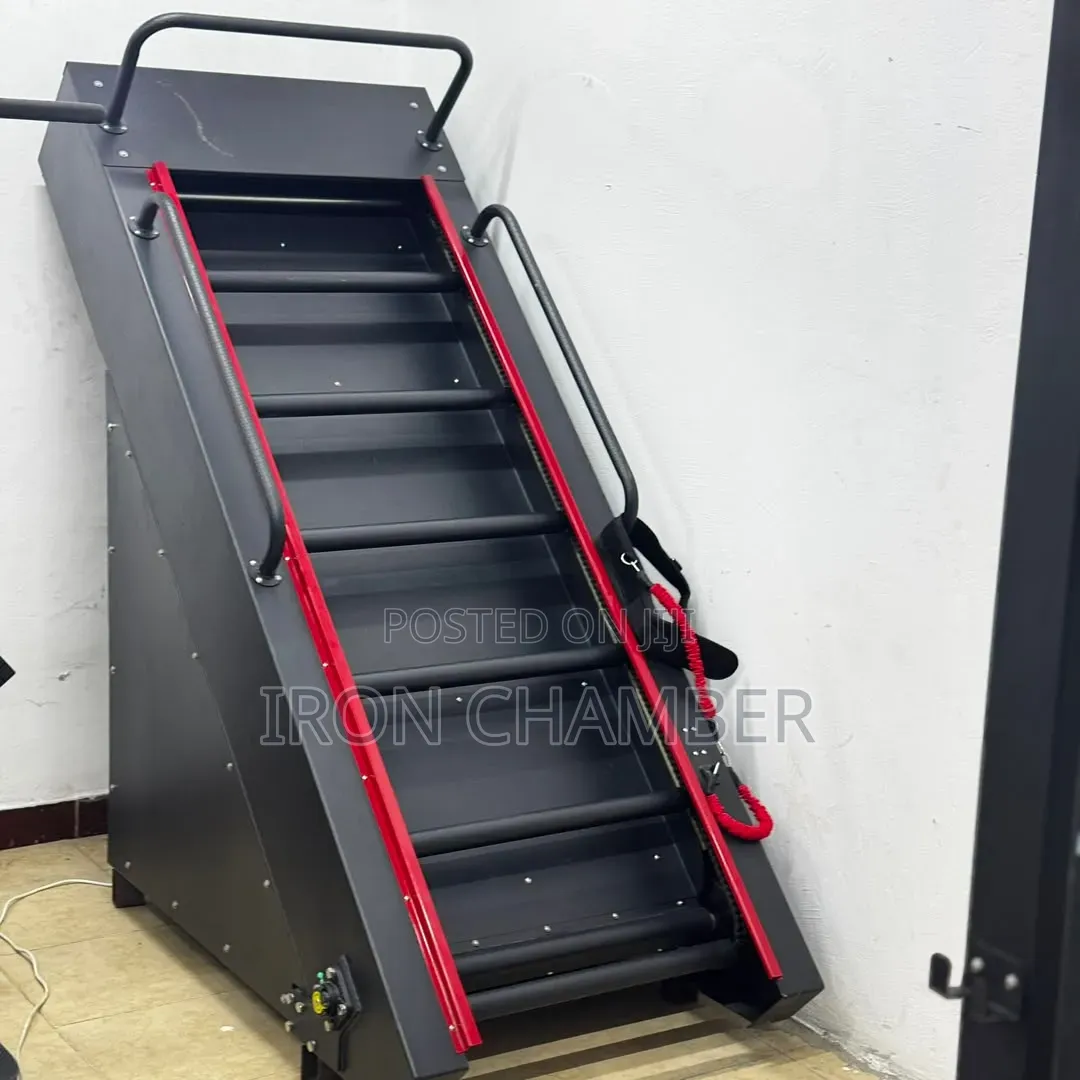 Commercial Ladder Climber Machine.