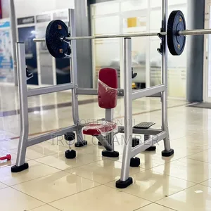 Olympic Shoulder Press Rack (Commercial)