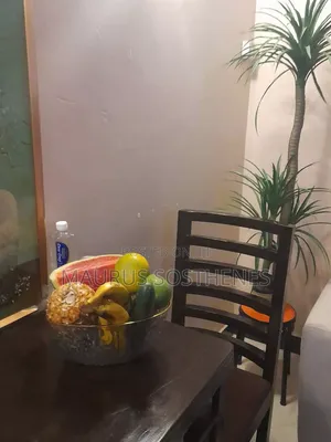 Furnished 2bdrm Apartment in Machimbo, Kitunda for rent