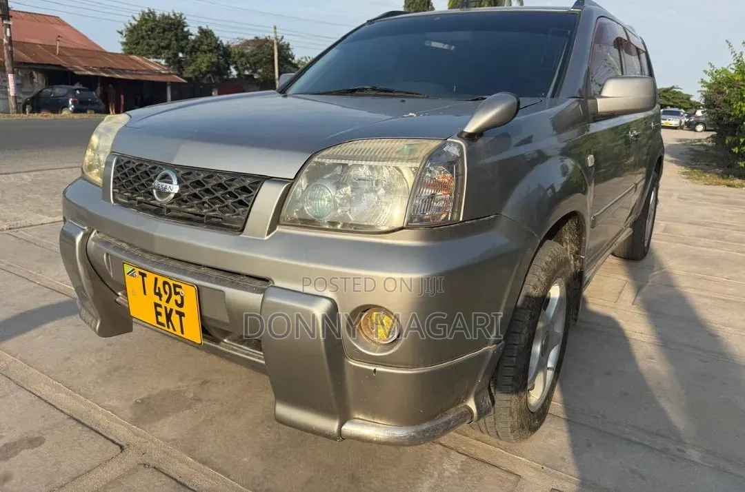 Nissan X-Trail 2004 Gray