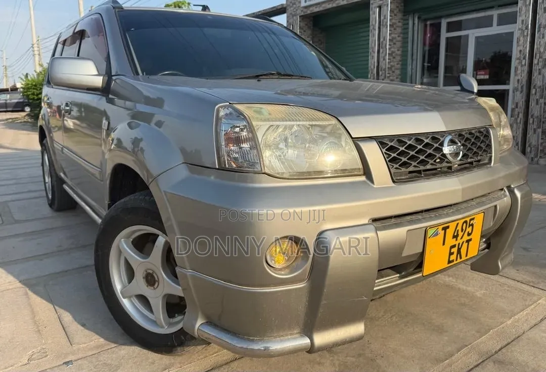 Nissan X-Trail 2004 Gray