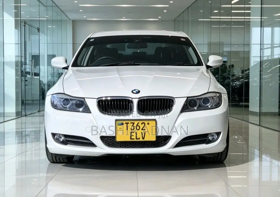 BMW 3 Series 320i RWD 2010 White