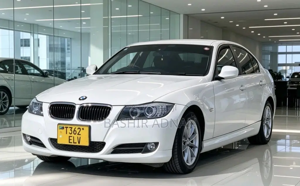 BMW 3 Series 320i RWD 2010 White
