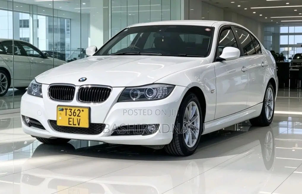BMW 3 Series 320i RWD 2010 White