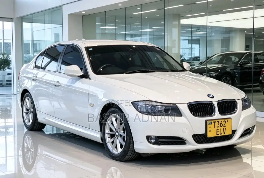 BMW 3 Series 320i RWD 2010 White