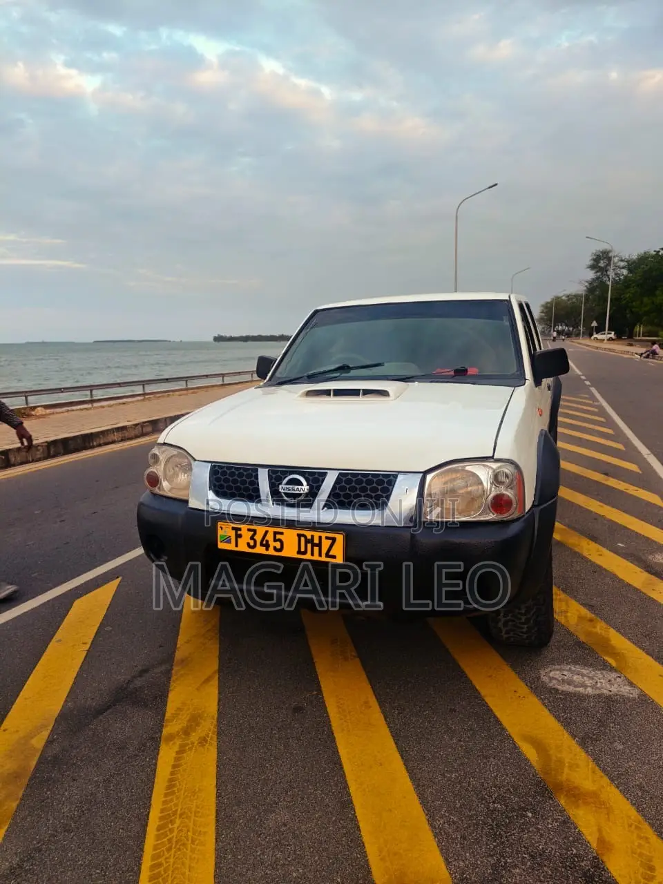 Nissan Hardbody 2004 White