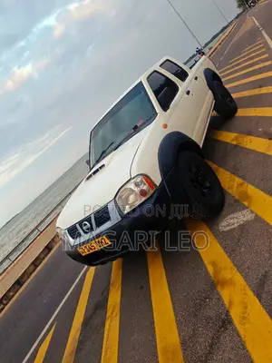 Nissan Hardbody 2004 White