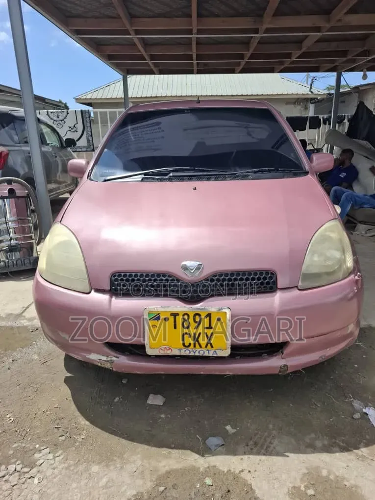 Toyota Vitz 2002 Pink