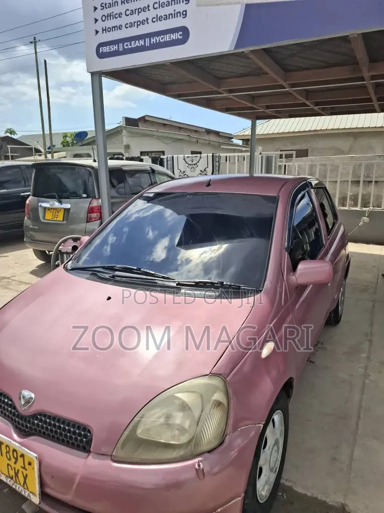 Toyota Vitz 2002 Pink