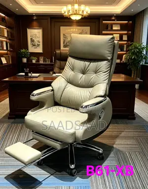 Excutive Offices Chair