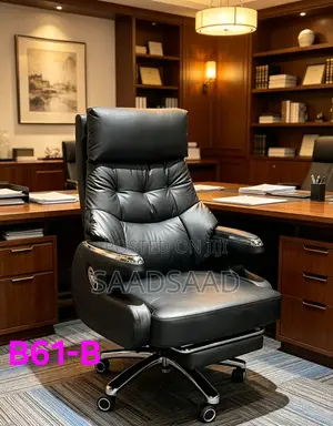 Excutive Offices Chair