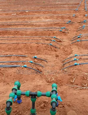 Driplines Crops
