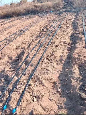 Lines Irrigation