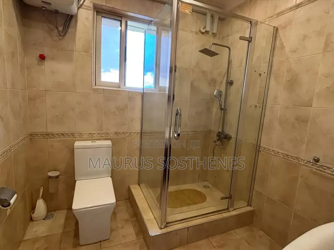 Furnished 3bdrm Apartment in Masaki for rent