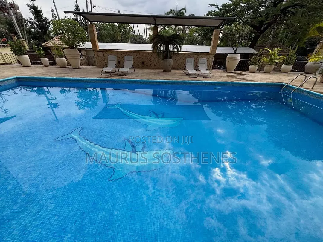 Furnished 3bdrm Apartment in Masaki for rent