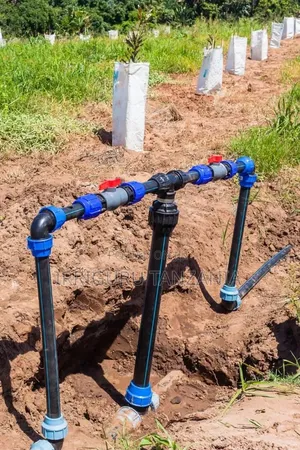 Plumb Fittings