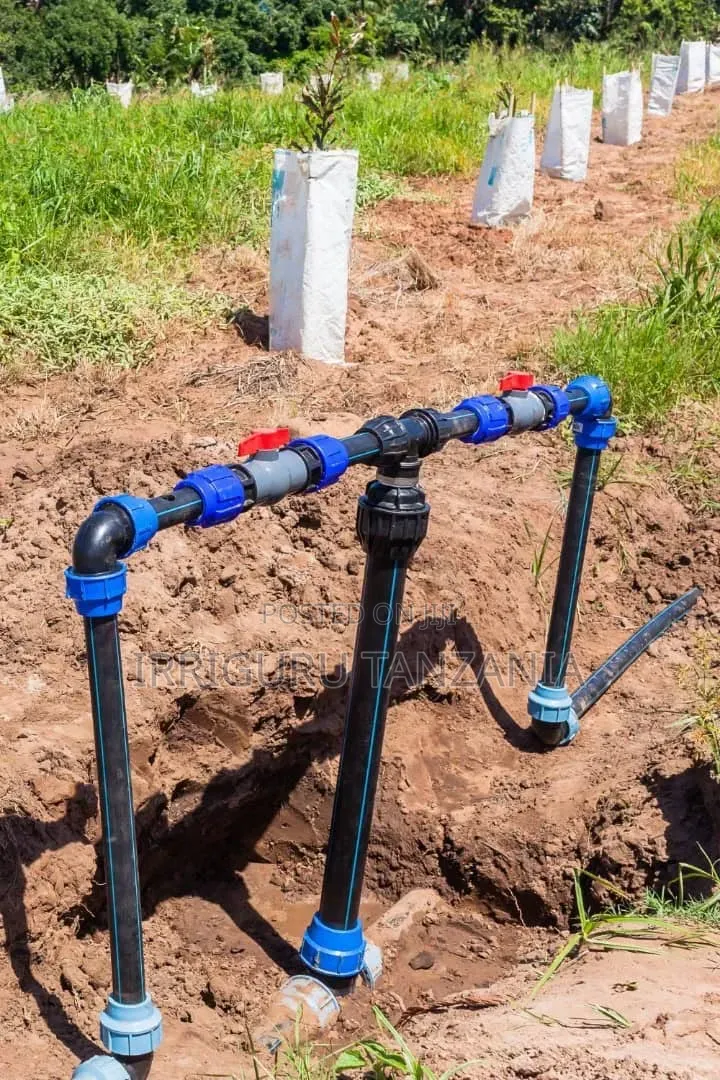 Plumb Fittings