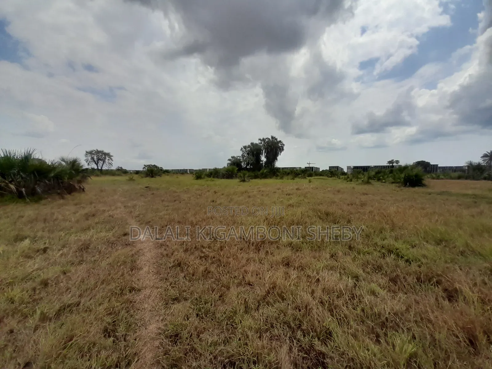 Eneo Linauzwa Kigamboni Dege