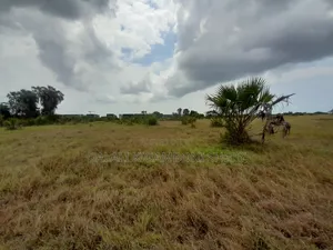 Eneo Linauzwa Kigamboni Dege