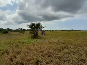 Eneo Linauzwa Kigamboni Dege