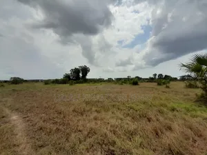 Eneo Linauzwa Kigamboni Dege