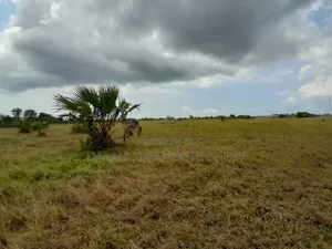 Eneo Linauzwa Kigamboni Dege