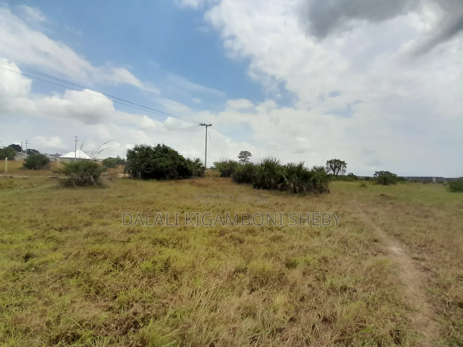 Eneo Linauzwa Kigamboni Dege