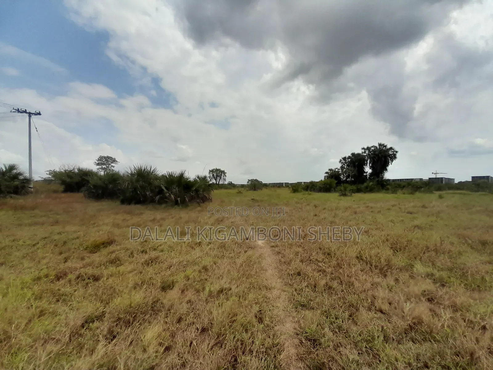 Eneo Linauzwa Kigamboni Dege