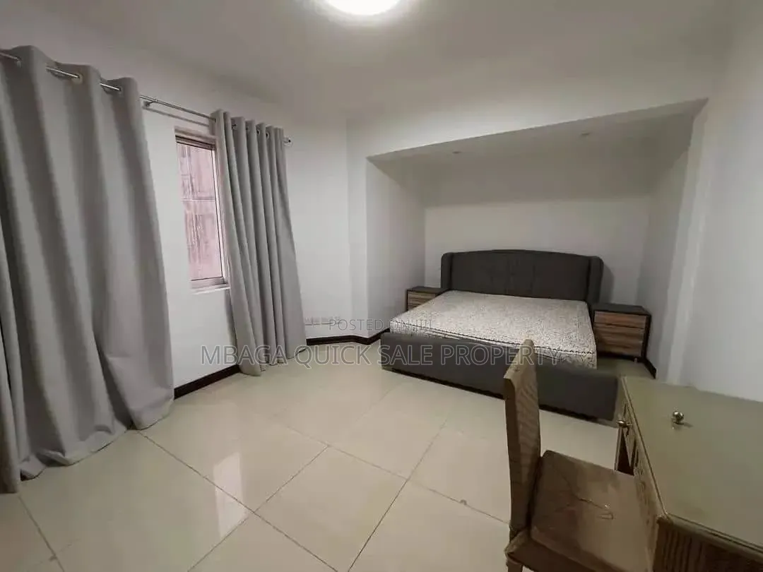 Furnished 3bdrm Apartment in Masaki for rent