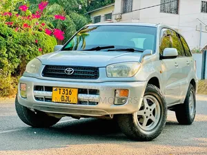 Toyota RAV4 2007 Silver