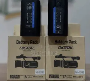NP-F980 Digital Video Battery Packs