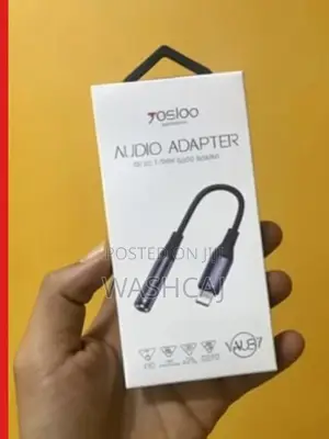 iPhone to Audio Adapter
