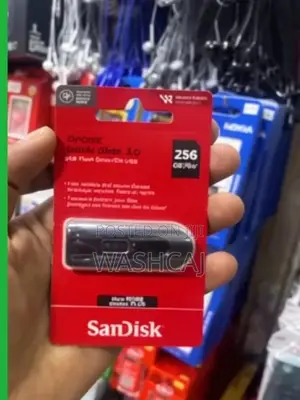 256G Sandisk 3.0 USB Flash Drive