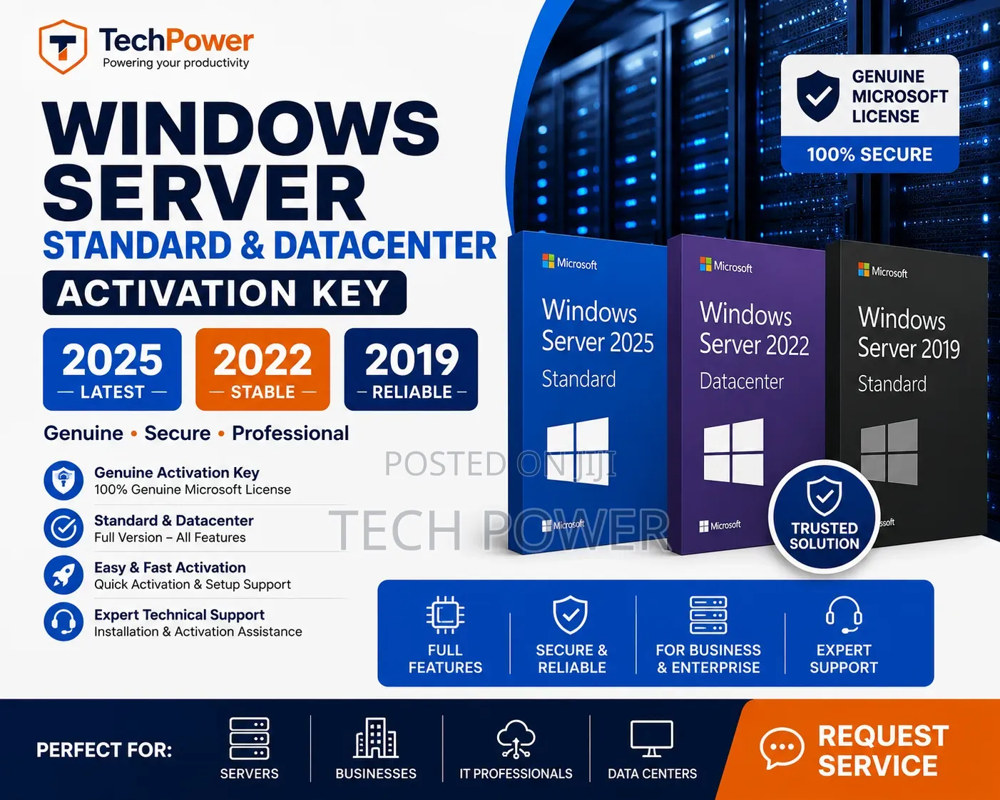Windows Server 2025/2022/2019 Standard Datacenter License Key