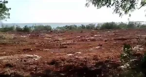 Beach Plot for Sale at Kidoti Zanzibar