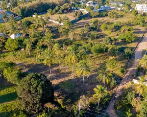 Big Land for Sale at Madale Mivumoni 9.2Acres