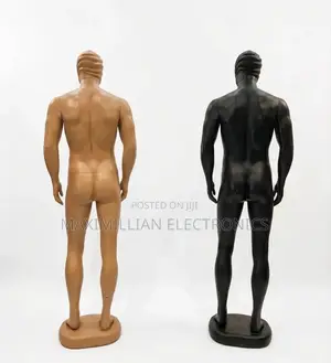 Maximillian Electronics