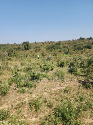 Shamba Linauzwa Vigwaza Ukubwa Ni Heka 5