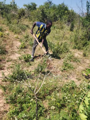 Shamba Linauzwa Vigwaza Ukubwa Ni Heka 5