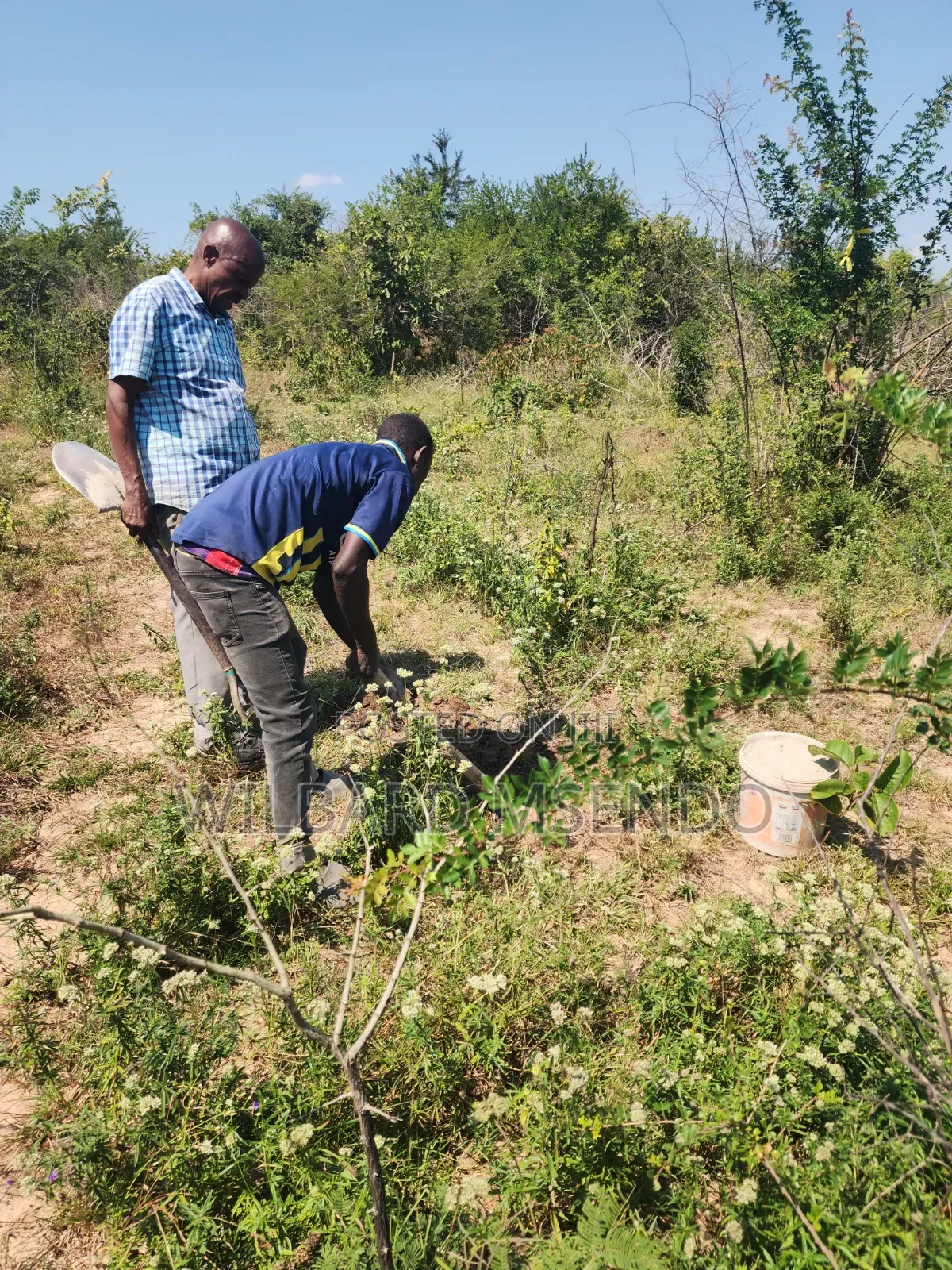 Shamba Linauzwa Vigwaza Ukubwa Ni Heka 5