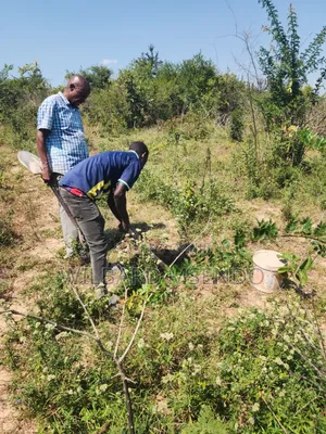 Shamba Linauzwa Vigwaza Ukubwa Ni Heka 5