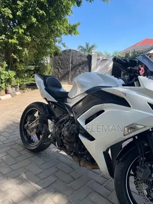 Kawasaki Ninja 650 2022 White