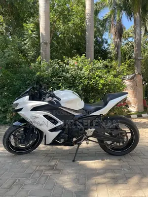 Kawasaki Ninja 650 2022 White