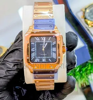 SANTOS DE CARTIER—PREMIUMAutomatic Movement Water Resistant