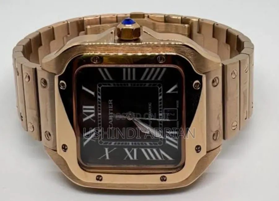 SANTOS DE CARTIER—PREMIUMAutomatic Movement Water Resistant