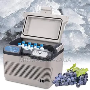 12 Liters Small Car Refrigerator Mini Small
