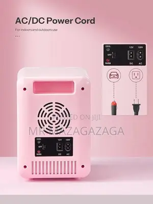 Home 220v ,Car DC 12V Mini Fridge With Makeup Mirror Led Light
