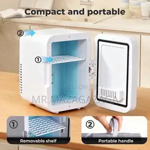 Home 220v ,Car DC 12V Mini Fridge With Makeup Mirror Led Light
