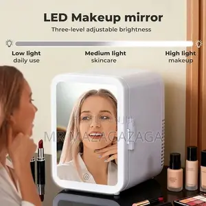 Home 220v ,Car DC 12V Mini Fridge With Makeup Mirror Led Light