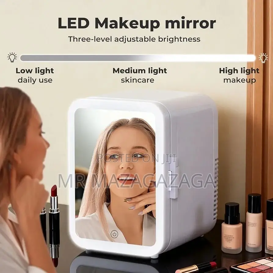 Home 220v ,Car DC 12V Mini Fridge With Makeup Mirror Led Light